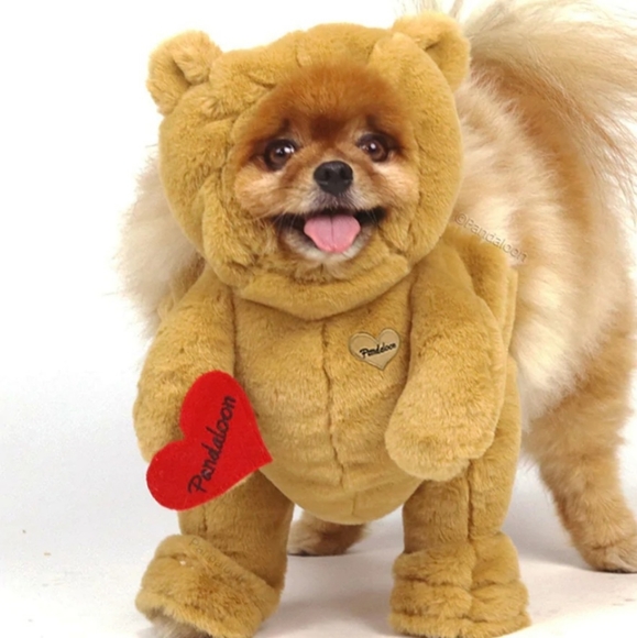 Pantaloon Dog Teddy Bear Dog Costume Tiny Poshmark